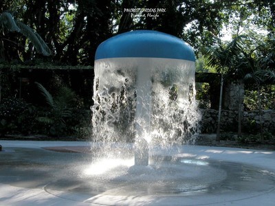 Pinecrest Gardens Park